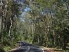 gal/03-Oceanie/32-Australie/03-New_South_Wales/06-route_Bega/_thb_DSC04786.jpg