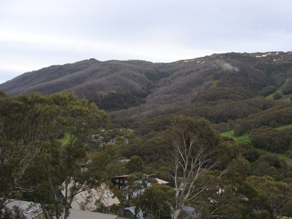 gal/03-Oceanie/32-Australie/03-New_South_Wales/07-route_Alpes/DSC04834.jpg