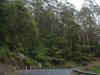 gal/03-Oceanie/32-Australie/03-New_South_Wales/07-route_Alpes/_thb_DSC04825.jpg