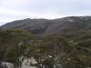 gal/03-Oceanie/32-Australie/03-New_South_Wales/07-route_Alpes/_thb_DSC04834.jpg