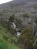 gal/03-Oceanie/32-Australie/03-New_South_Wales/07-route_Alpes/_thb_DSC04836.jpg