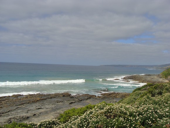 gal/03-Oceanie/32-Australie/04-Victoria/03-Great_Ocean_Road/DSC05189.jpg