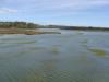 gal/03-Oceanie/32-Australie/05-Tasmanie/01-Devonport-St_Helens/_thb_DSC04890.jpg