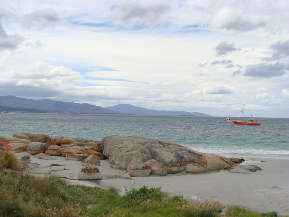 gal/03-Oceanie/32-Australie/05-Tasmanie/02-route_Freycinet/DSC04948.jpg