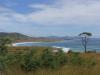 gal/03-Oceanie/32-Australie/05-Tasmanie/02-route_Freycinet/_thb_DSC04940.jpg