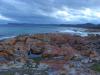 gal/03-Oceanie/32-Australie/05-Tasmanie/02-route_Freycinet/_thb_DSC04952.jpg