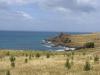 gal/03-Oceanie/32-Australie/05-Tasmanie/04-route_Triabunna/_thb_DSC04966.jpg