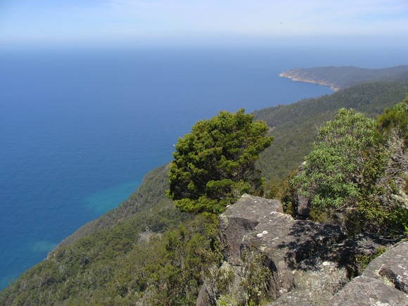 gal/03-Oceanie/32-Australie/05-Tasmanie/05-ile_Maria/DSC04975.jpg