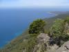 gal/03-Oceanie/32-Australie/05-Tasmanie/05-ile_Maria/_thb_DSC04975.jpg