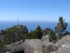gal/03-Oceanie/32-Australie/05-Tasmanie/05-ile_Maria/_thb_DSC04984.jpg
