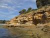 gal/03-Oceanie/32-Australie/05-Tasmanie/05-ile_Maria/_thb_DSC04987.jpg