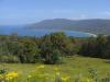 gal/03-Oceanie/32-Australie/05-Tasmanie/07-peninsule_Tasmane/_thb_DSC05018.jpg