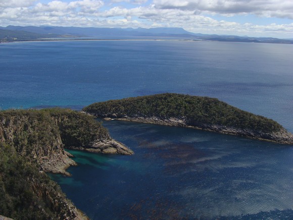 gal/03-Oceanie/32-Australie/05-Tasmanie/09-ile_Bruny/DSC05030.jpg