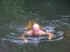 gal/03-Oceanie/32-Australie/05-Tasmanie/10-route_Queenstown/_thb_DSC05045.jpg