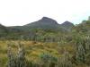 gal/03-Oceanie/32-Australie/05-Tasmanie/10-route_Queenstown/_thb_DSC05083.jpg