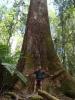 gal/03-Oceanie/32-Australie/05-Tasmanie/11-parc_national_de_Mt_Field/_thb_DSC05054.jpg