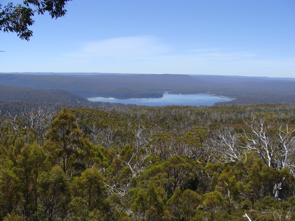 gal/03-Oceanie/32-Australie/05-Tasmanie/12-parc_national_lac_St_Clair/DSC05073.jpg