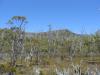 gal/03-Oceanie/32-Australie/05-Tasmanie/12-parc_national_lac_St_Clair/_thb_DSC05071.jpg