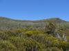 gal/03-Oceanie/32-Australie/05-Tasmanie/12-parc_national_lac_St_Clair/_thb_DSC05072.jpg