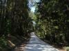 gal/03-Oceanie/32-Australie/05-Tasmanie/14-route_Devonport/_thb_DSC05108.jpg