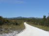 gal/03-Oceanie/32-Australie/05-Tasmanie/14-route_Devonport/_thb_DSC05109.jpg