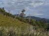 gal/03-Oceanie/32-Australie/05-Tasmanie/14-route_Devonport/_thb_DSC05115.jpg