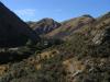 gal/03-Oceanie/33-Nouvelle_Zelande/03-route_Dunedin/_thb_DSC05312.jpg