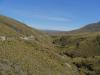 gal/03-Oceanie/33-Nouvelle_Zelande/03-route_Dunedin/_thb_DSC05321.jpg