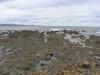 gal/03-Oceanie/33-Nouvelle_Zelande/04-Dunedin_-_Te_Anau/_thb_DSC05337.jpg