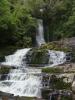 gal/03-Oceanie/33-Nouvelle_Zelande/04-Dunedin_-_Te_Anau/_thb_DSC05352.jpg
