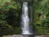 gal/03-Oceanie/33-Nouvelle_Zelande/04-Dunedin_-_Te_Anau/_thb_DSC05356.jpg