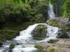 gal/03-Oceanie/33-Nouvelle_Zelande/04-Dunedin_-_Te_Anau/_thb_DSC05358.jpg