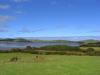 gal/03-Oceanie/33-Nouvelle_Zelande/04-Dunedin_-_Te_Anau/_thb_DSC05359.jpg