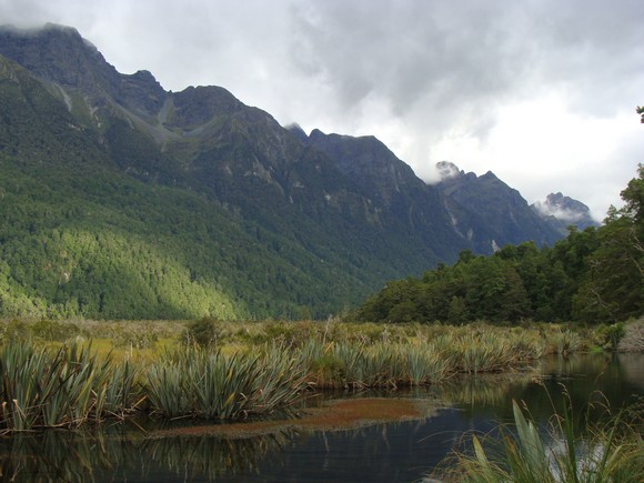 gal/03-Oceanie/33-Nouvelle_Zelande/05-Milford_Sound/DSC05400.jpg