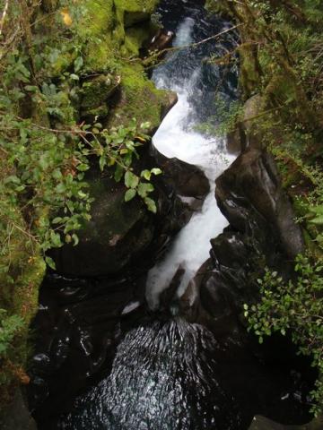 gal/03-Oceanie/33-Nouvelle_Zelande/05-Milford_Sound/DSC05419.jpg