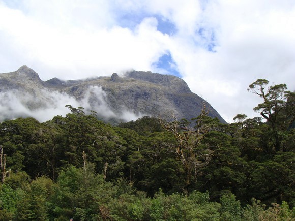 gal/03-Oceanie/33-Nouvelle_Zelande/05-Milford_Sound/DSC05424.jpg