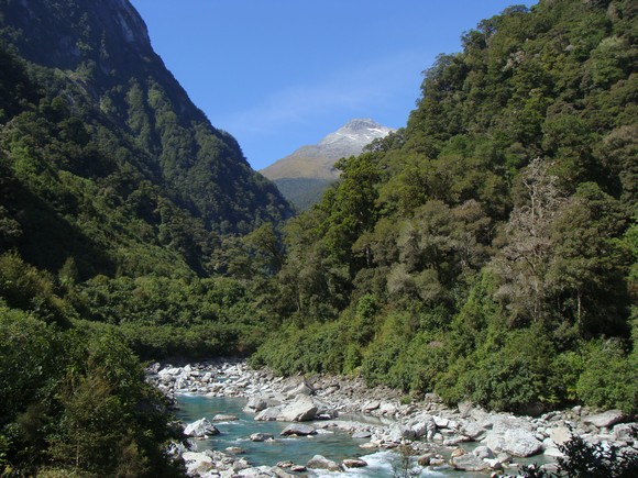 gal/03-Oceanie/33-Nouvelle_Zelande/06-Te_Anau_-_Haast/DSC05470.jpg