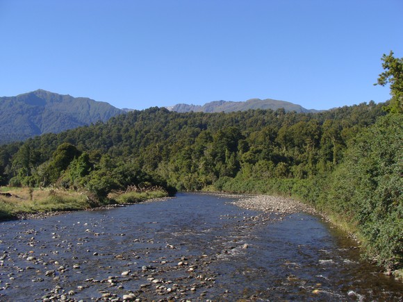 gal/03-Oceanie/33-Nouvelle_Zelande/07-Haast_-_Hokitika/DSC05485.jpg