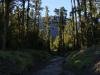 gal/03-Oceanie/33-Nouvelle_Zelande/07-Haast_-_Hokitika/_thb_DSC05479.jpg