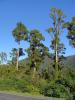gal/03-Oceanie/33-Nouvelle_Zelande/07-Haast_-_Hokitika/_thb_DSC05480.jpg