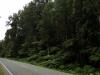 gal/03-Oceanie/33-Nouvelle_Zelande/07-Haast_-_Hokitika/_thb_DSC05507.jpg