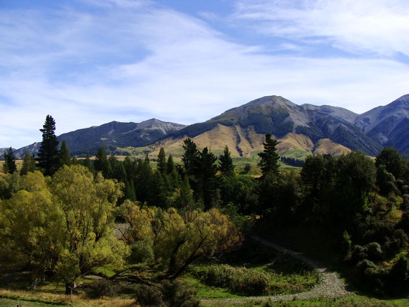gal/03-Oceanie/33-Nouvelle_Zelande/08-Christchurch_-_Picton/DSC05535.jpg