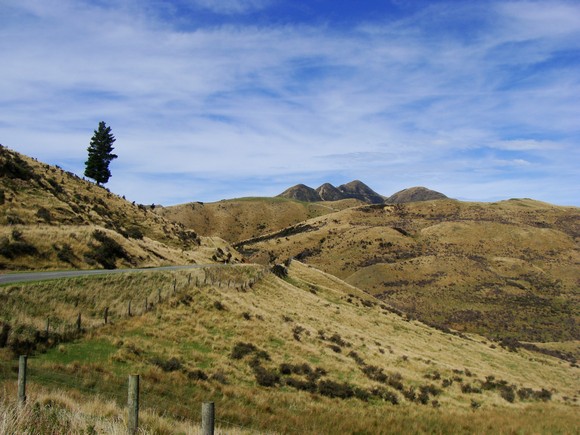 gal/03-Oceanie/33-Nouvelle_Zelande/08-Christchurch_-_Picton/DSC05536.jpg