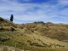 gal/03-Oceanie/33-Nouvelle_Zelande/08-Christchurch_-_Picton/_thb_DSC05536.jpg